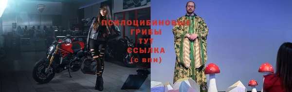 прущая мука Алзамай