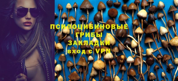 прущая мука Алзамай