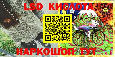 PSILOCYBIN Новодвинск