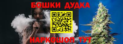 PSILOCYBIN Новодвинск