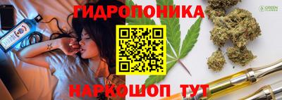 PSILOCYBIN Новодвинск