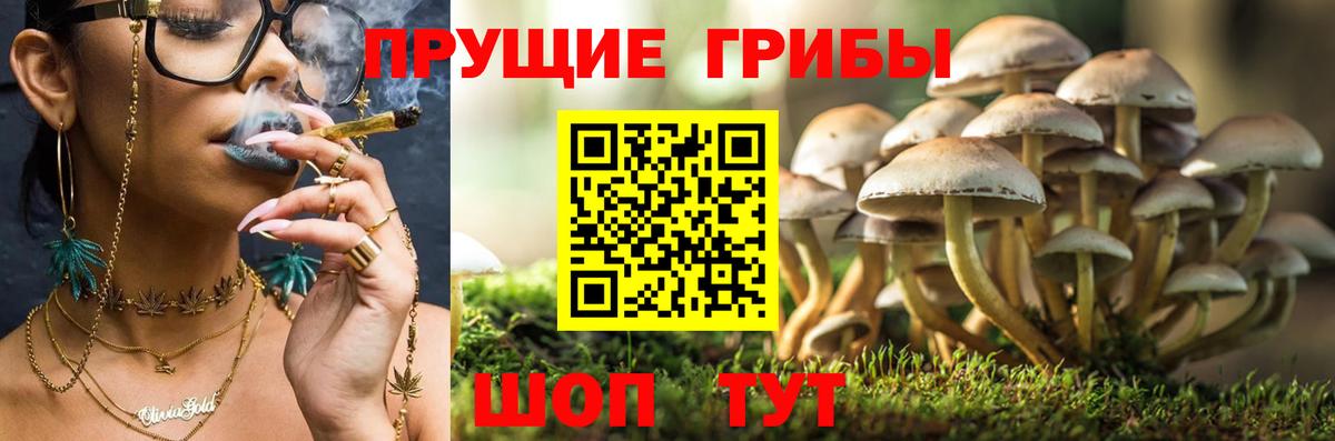 Чебаркуль  Галлюциногенные грибы Magic Shrooms  Псилоцибиновые грибы Magic Shrooms  Вход с VPN 